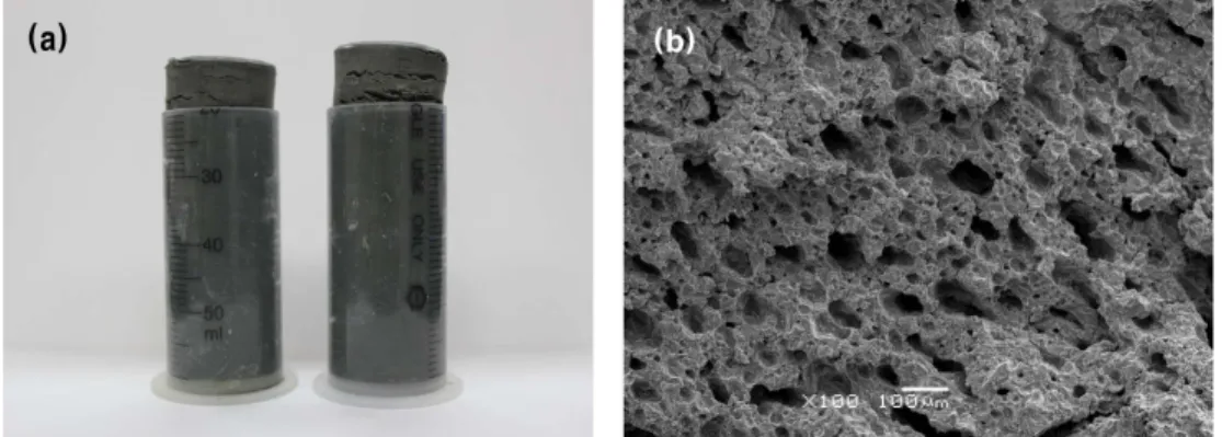 Fig. 5. IGCC slag samples which were activated with the combined activator of sodium silicate solution and caustic soda cured at 40 o C showing expansion (a)
