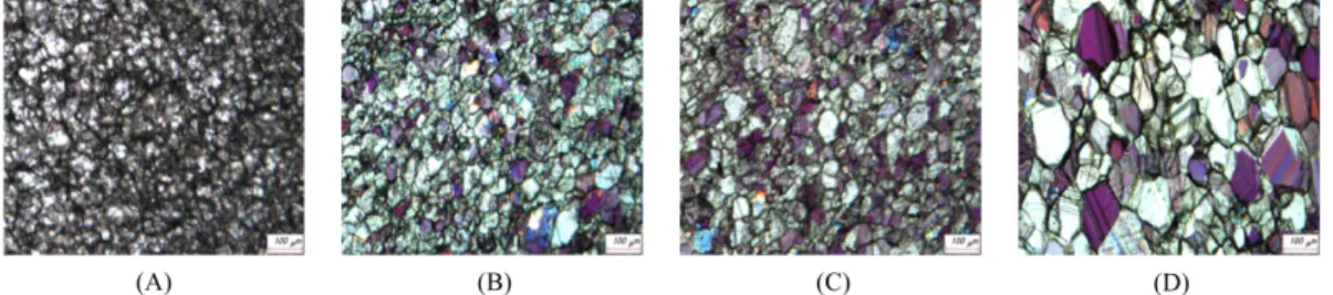 Fig. 4. Microstructure image of 5 limestone samples.