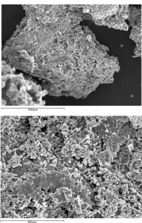 Fig. 7. Scanning electron micrographs of titanium sponge produced by toho titanium Co., Ltd..
