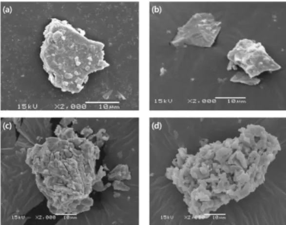 Fig. 11. SEM micrographs of leaching residues at 80 o C.
