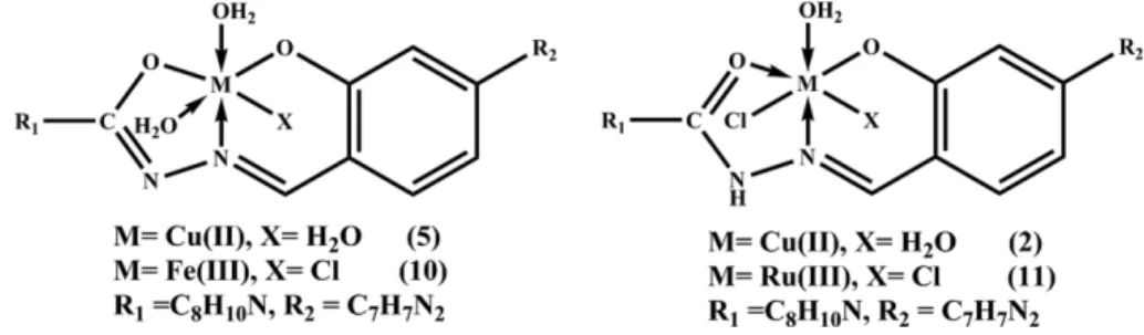Figure 2. The structure representation of Cu(II), Co(II), Mn(II), Zn(II) and Ni(II) complexes.