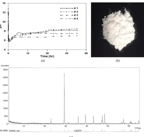 Fig. 5. (a) pH variation of sludge and drain as CO 2  purging, (b) dried precipitate at # 3, and (c) XRD pattern of precipitate.