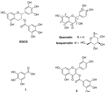 Figure 1. Chemical structures of EGCG, quercetin, isoquerce- isoquerce-tin, gallic acid ( 1) and quercetin-3-gallate (2).