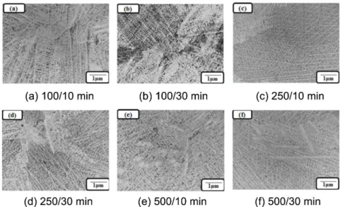 Fig. 2. The optical microscope images of IN 713C ingot by AOD.