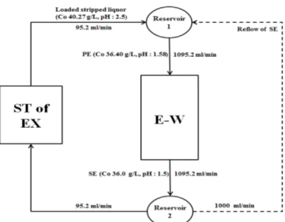 Fig. 8. Change of cobalt concentration and solution pH during electro-winning.