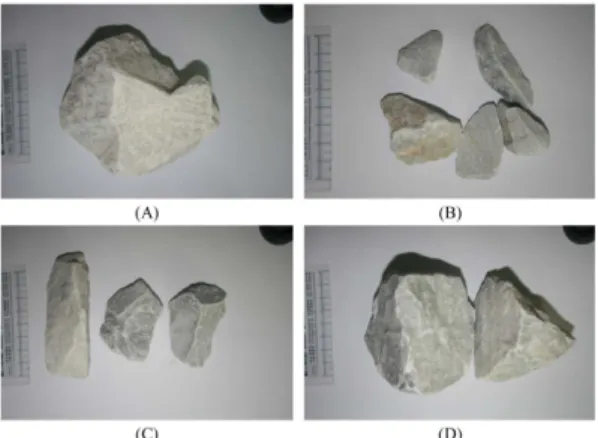 Fig. 1. Photographs of limestone samples ; (A) DS1 (B) DS2 (C) DS3 (D) JD.