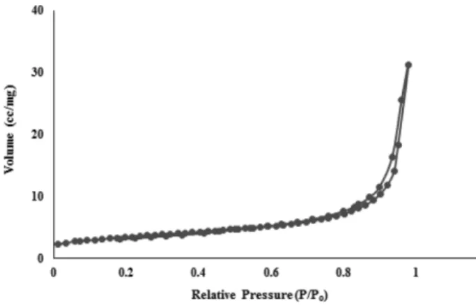Figure 3. SEM image of CuMnO 3  catalyst.