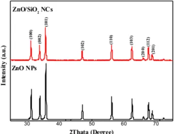 Fig. 3은 ZnO NPs와 ZnO/SiO 2  NCs의 FE-SEM 사진이다.