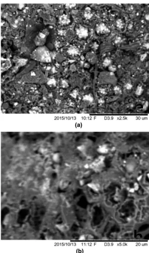 Figure 2. The SEM micrographs of surface of (a) the ACS pow- pow-der, (b) the 5 g NaOH ACS AC.