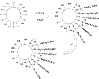 Figure 2. (a) Chemical structure of MPTMS, (b) FTIR spectrum of MPTMS, (c) FTIR spectrum of pure silica spheres, and (d) FTIR spectra of surface modified silica spheres reacted for 0.5, 1.5, 4.5, and 26 h with MPTMS.
