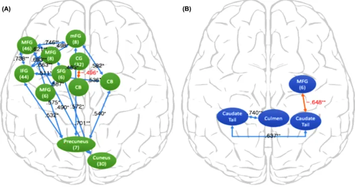 Figure 5. Brain connectivity during (A) convergence thinking, (B) chemistry problem solving (SFG : Superior Frontal Gyrus, MFG : Middle Frontal Gyrus, IFG : Inferior Frontal Gyrus, mFG : medial Frontal Gyrus, CG : Cingulate Gyrus, CB : Caudate nucleus Body