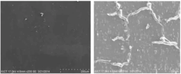Fig. 1. Surface of amorphous steel fiber (left : forth, right : back).