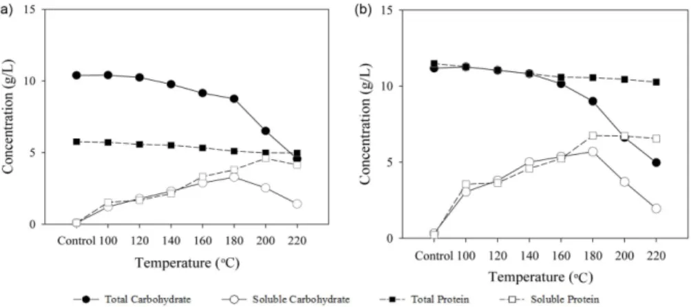 Fig. 3. Carbohydrate and protein concentration at various temperatures: (a) primary sludge, (b) secondary sludge.