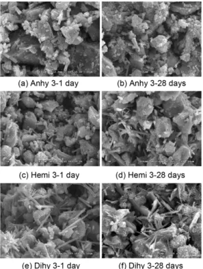 Fig. 8. Pore size distributions of the paste specimens in NHL-BFS-CaSO 4 ·0.5H 2 O with hydration time.