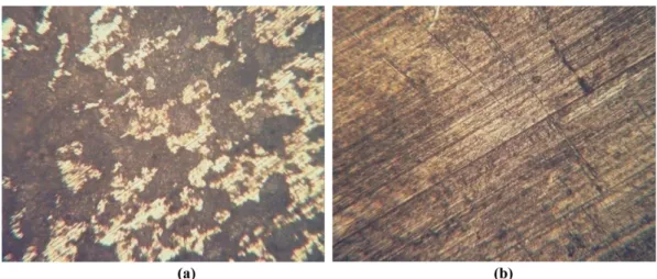 Figure 9. Scanning electron micrographs of surface of mild steel in (a) only 1 M HCl (b) 1 M HCl with 500 ppm of the inhibitor.