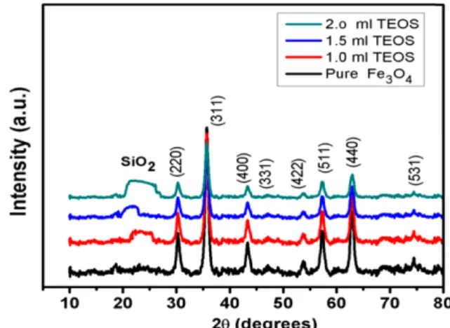 Fig. 1 shows the XRD patterns of pure and modified Fe 3 O 4  nanoparticles. XRD peaks of pure magnetite  sam-ple are found to be sharp and distinct indicating good  crys-tallinity and homogeneity of the sample