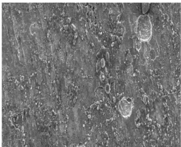 Figure 5. Surface analysis of mild steel in 0.5N H 2 SO 4  solution with Ginger affinale extract.