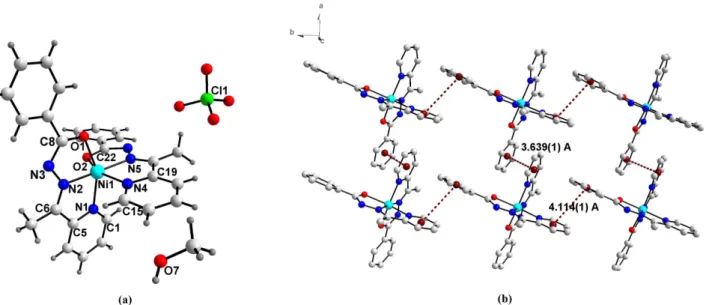 Figure 3. (a) Molecular structure of complex 3 with atomic labeling. (b) 2D layer in complex 3