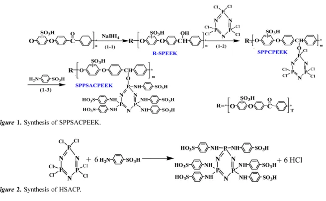 Figure 2. Synthesis of HSACP.