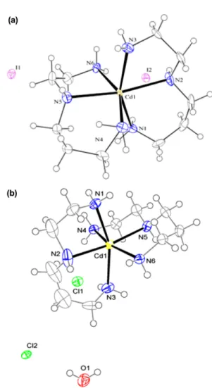 Figure 3. Packing of 1, showing the hydrogen bonds. Only the hydrogen atoms involved in hydrogen bonding are shown