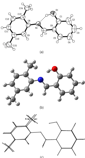 Figure  1.  (a) The experimental molecular structure of the title compound taken from ref 26