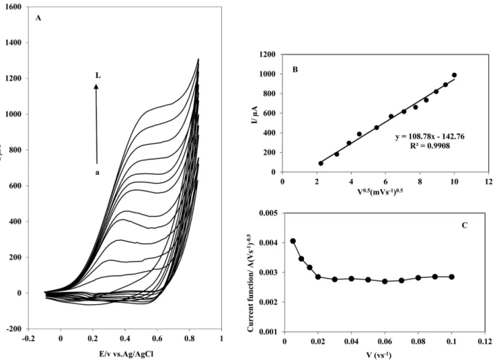 Figure 5. (A) Cyclic voltammograms of CIM-SGD-CC electrode in 0.1 mol L −1  NaOH containing 300 µmol L −1  of amoxicillin at var- var-ious potential scan rates (from inner to outer) 5 −100 mVs −1 