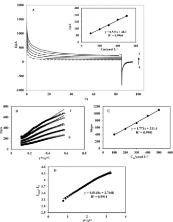 Figure 8. The current – time profiles recorded at the CIM-SGD- CIM-SGD-CC electrode during the successive addition of amoxicillin