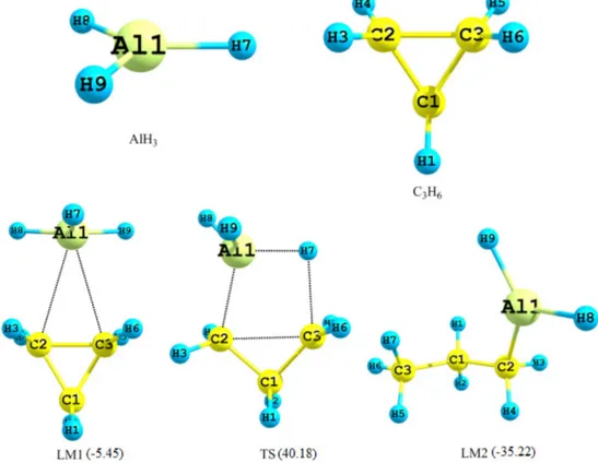 Fig. 1. B3LYP/6-31G** optimized geometries of the reactants (AlH 3  and C 3 H 6 ), complex (LM1), transition state (TS) and product (LM2)
