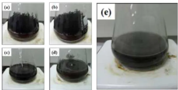Fig. 4. Leaching images of spent NCM cathode active material with various heat treatment temperature for 3 hours; (a) none treatment, (b) 200 o C, (c) 300 o C, (d) 400 o C and (e) 550 o C.