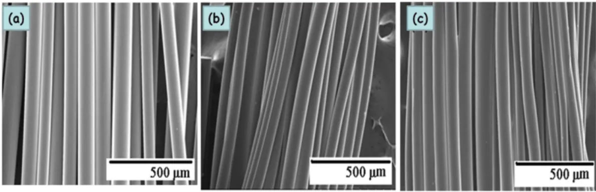 Fig. 6. SEM images of AN83IA1MA16(2)50% copolymer based melt-spun fiber at (a) low and (b) high magnification.