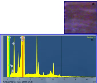 Fig. 7b shows image of mild steel surface. The picture shows the brightness of the electrode surface without any inclusions