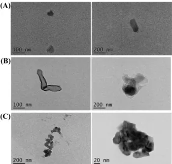 Fig. 6. TEM images of CMP-1(A), CMP-2 (B), and CMP-3 (C).