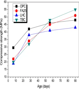 Fig. 4. Results of compressive test according to ages.