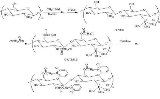 Fig. 1. IR spectra data of chitosan, TMCS, CATMCS and PATMCS.
