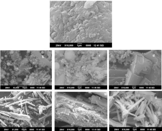 Fig. 9. SEM Micrographs of ligand and complexes. 9a Ligand, 9b &amp; c [MoO(HL)Cl 3 ] before irradiation, 9d [MoO(HL)Cl 3 ] after irra- irra-diation, 9e &amp; f [MoO 2 (HL)Cl 2 ] before irradiation, 9g [MoO 2 (HL)Cl 2 ] after irradiation.
