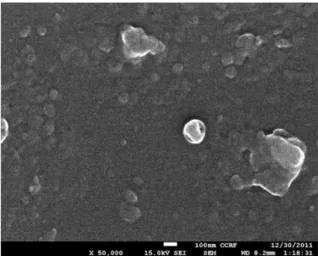 Fig. 1. SEM image of contact lens sample (Ref._ND).