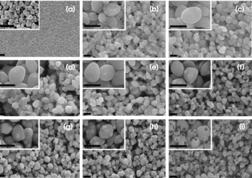 Fig. 1은 SnO 2 -ZnO 복합전극의 FE-SEM 사진이다. ZnO 가 첨가되지 않은 순수한 SnO 2  전극은  5 nm  정도의 미세 SnO 2 입자가 평탄한 표면을 이루고 있고 작은 공극들이 사이에 존재함을 알 수 있다