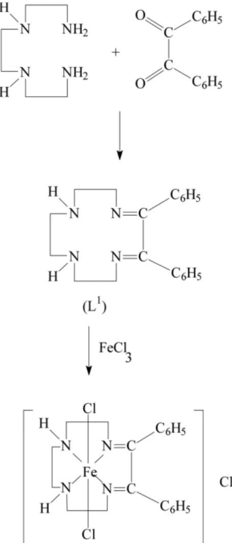 Fig. 3. Synthesis of Fe(III) complex of ligand L 1 .