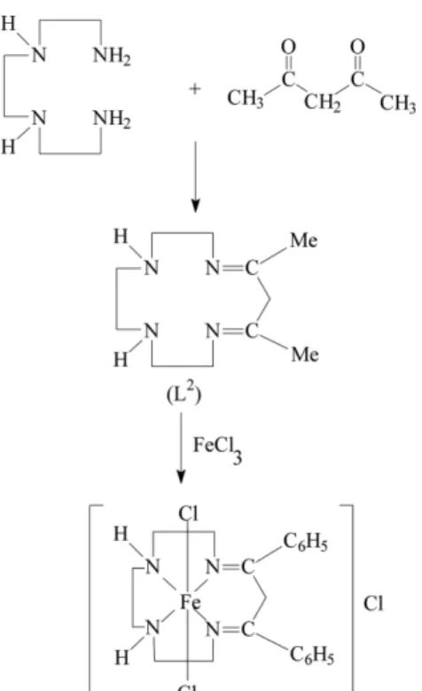 Fig. 4. Synthesis of Fe(III) complex of ligand L 2 .