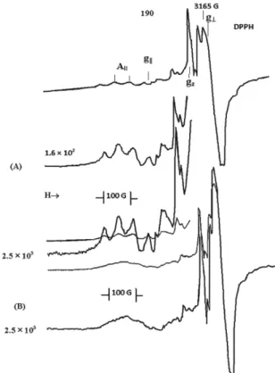 Fig. 5. The ESR spectrum of the [H 12 LMn]Cl 4 .2H 2 O complex in CDOD+D2O (10%) at 77 K.