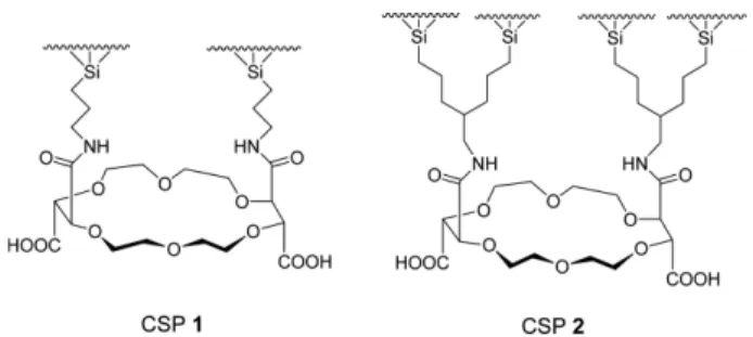 Fig. 1. Structures of CSP 1 and CSP 2.