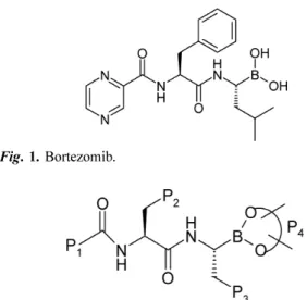 Fig. 2. Novel analogs of Bortezomib.