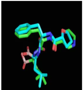 Fig.  6.  Superimposition of analog 8 with reference molecule (green color).
