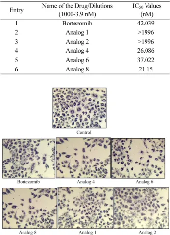 Table 3. IC 50  values of Bortezomib and its analogs on PC3 cell line (72 Hrs)