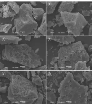 Fig. 8. SEM microphotos of the activated carbon with solid KOH of 6 g (a), (b), 8M KOH of 10 ml