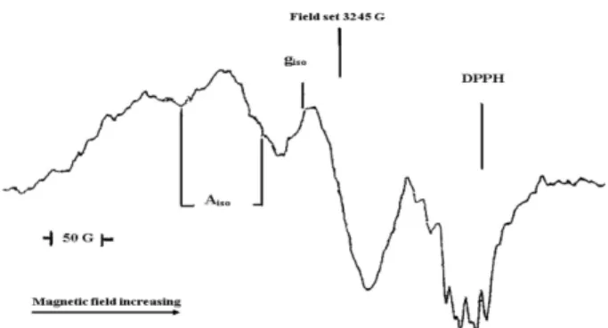 Fig. 6. The ESR spectrum of copper(II) complex [(L) 2 Cu(H 2 O) 2 ], ( 2) in CHCl 3  at room temperature.