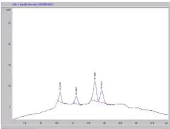 Fig. 1. HPLC analysis result of test material IUK.