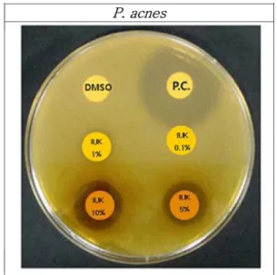 Fig. 3. Cell viability in HaCaT cells cultured.