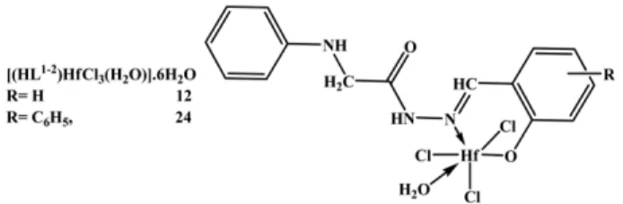 Fig. 6. structure representation of Hf(IV) complexes 12 and 24.