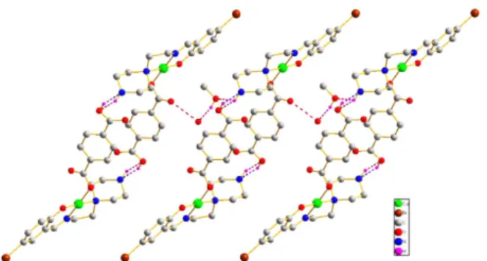 Fig. 3. A view of the hydrogen-bonded dimeric structure of the complex.